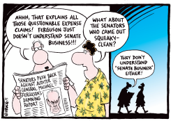 JUST DONT UNDERSTAND SENATE BUSINESS by Ingrid Rice