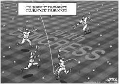 114TH CONGRESS CAN'T PLAY BALL by R.J. Matson