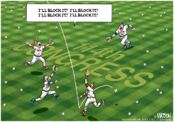 114TH CONGRESS CAN'T PLAY BALL by R.J. Matson