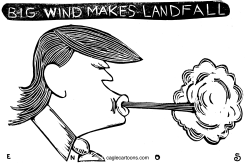 TRUMP REDUX by Randall Enos
