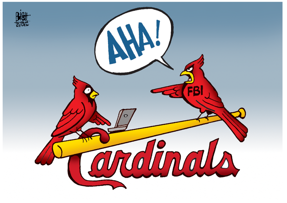 CARDINALS HACKING, COLOR