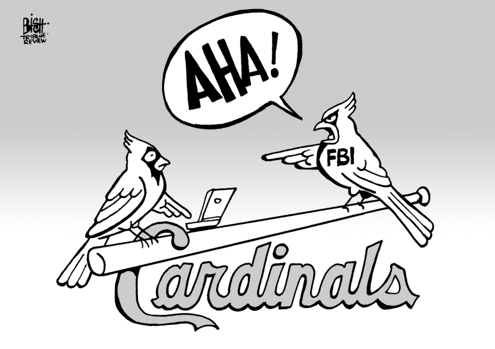 CARDINALS HACKING, B/W