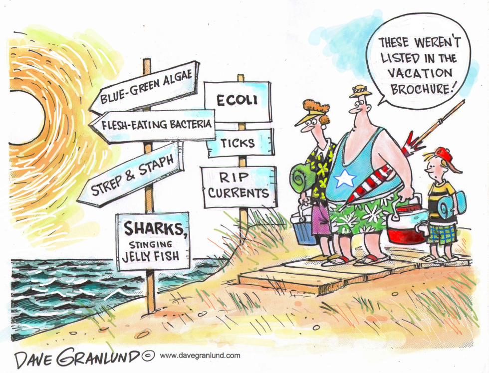 Vacation beaches