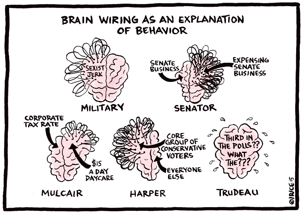 Brain Wiring As An Explanation