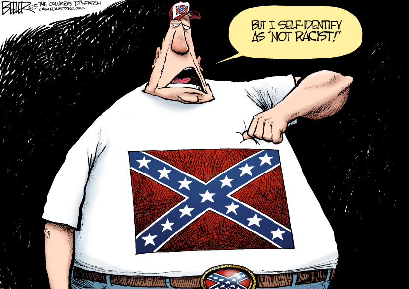 Confederate Flag COLOR