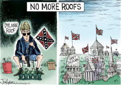 FLAG by Joe Heller
