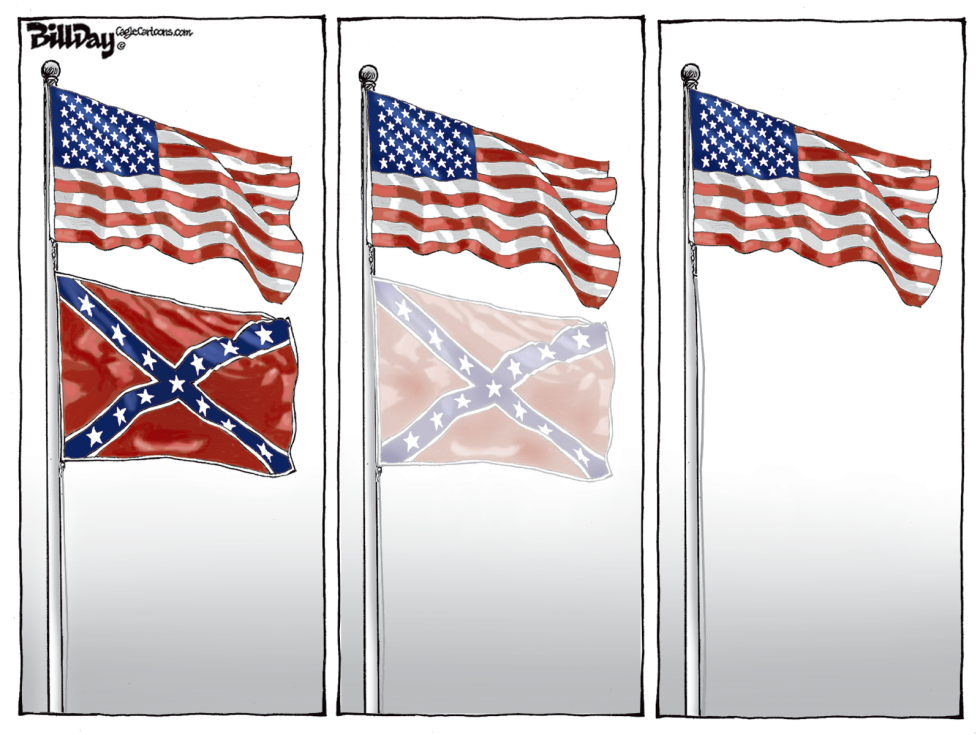 ONE COUNTRY ONE FLAG  color