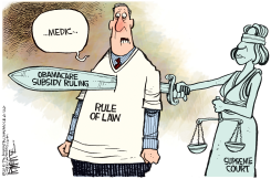 OBAMCARE RULING  by Rick McKee