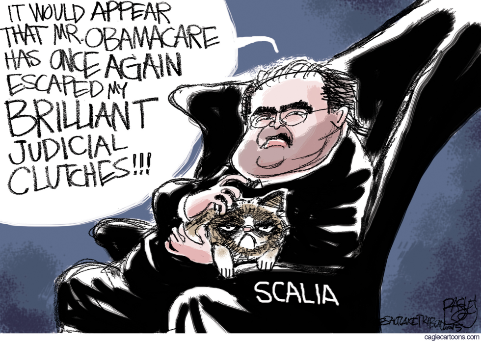 Scalia Broods COLOR