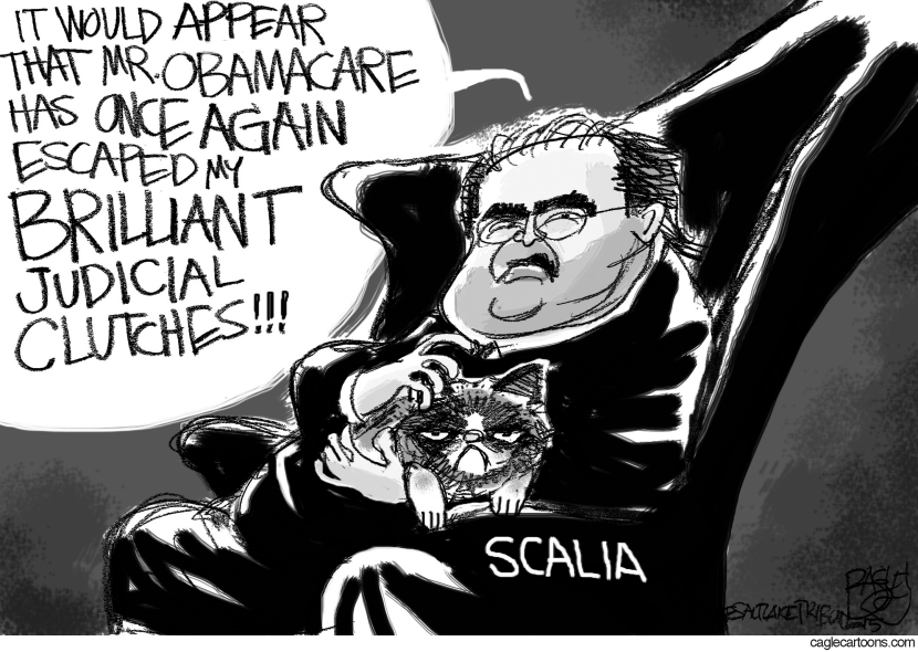 Scalia Broods