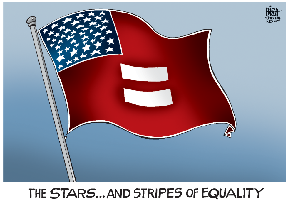 GAY MARRIAGE, COLOR
