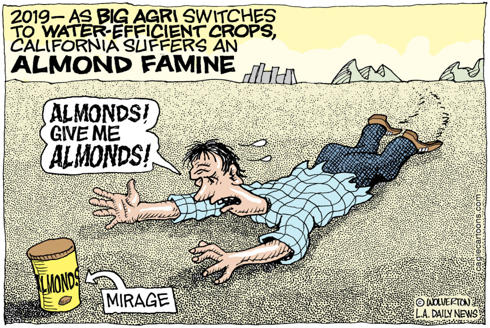  LOCAL-CA DROUGHT AND ALMONDS by Wolverton