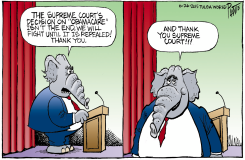 DECISION ON OBAMACARE by Bruce Plante