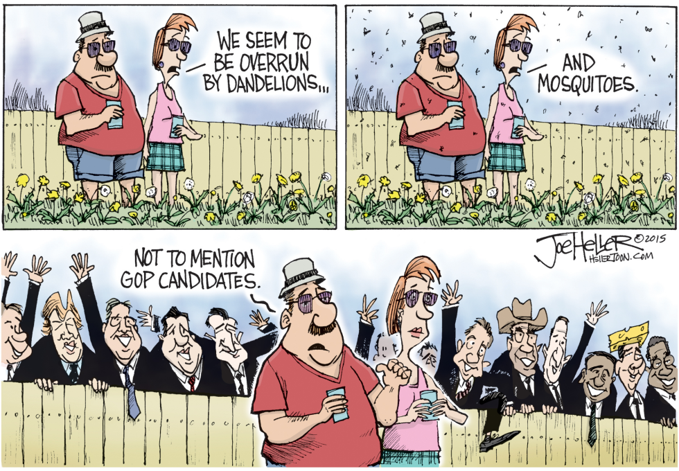 Candidates