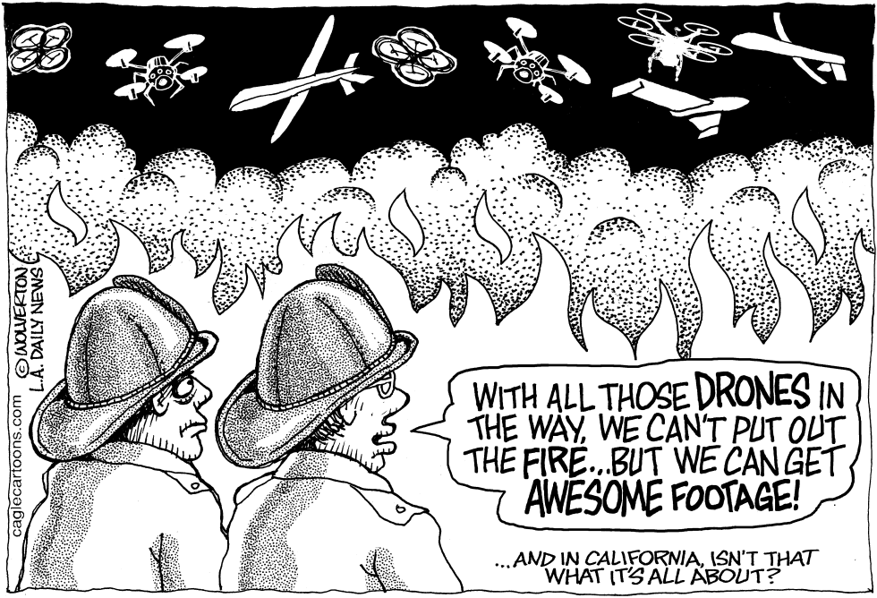 LOCAL-CA Wildfires and Drones