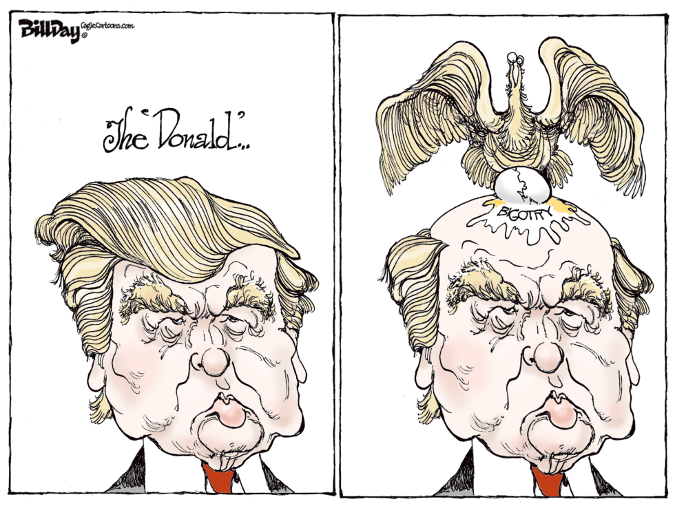 The DONALD  color