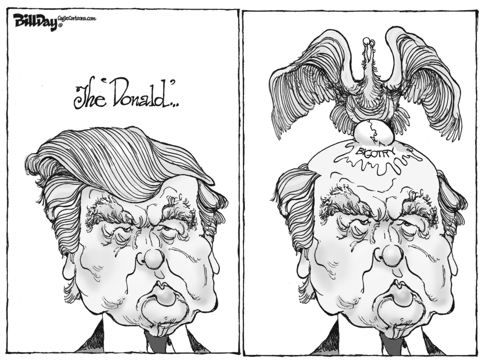 The DONALD