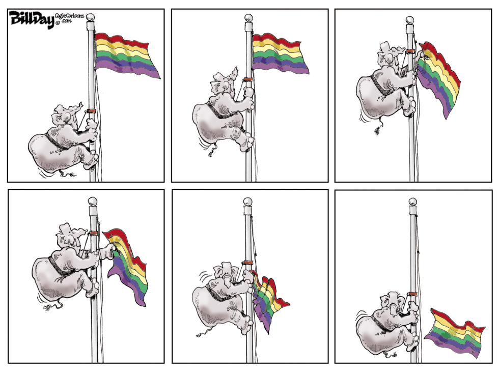 Orden de Ley del Partido / COLOR