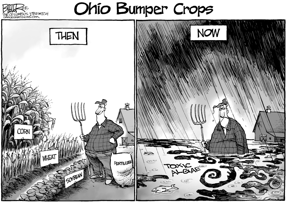 LOCAL OH - Bumper Crops