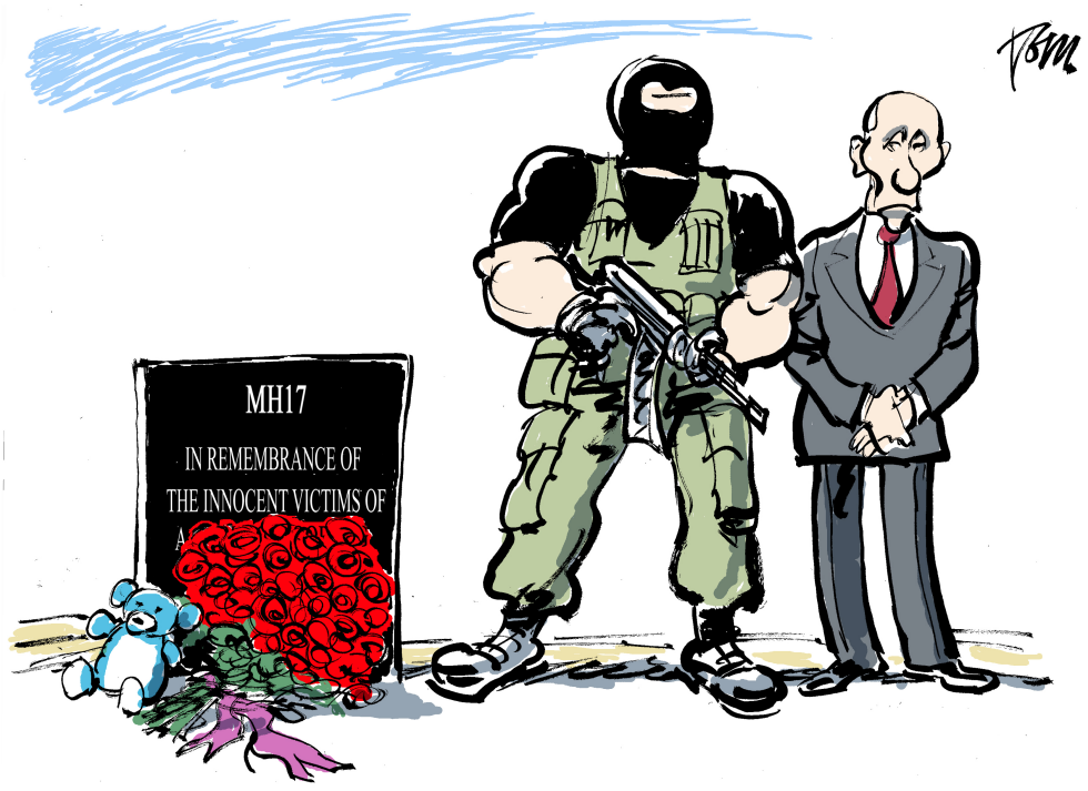  MH 17 ONE YEAR AGO by Tom Janssen