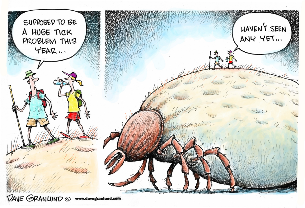 Ticks