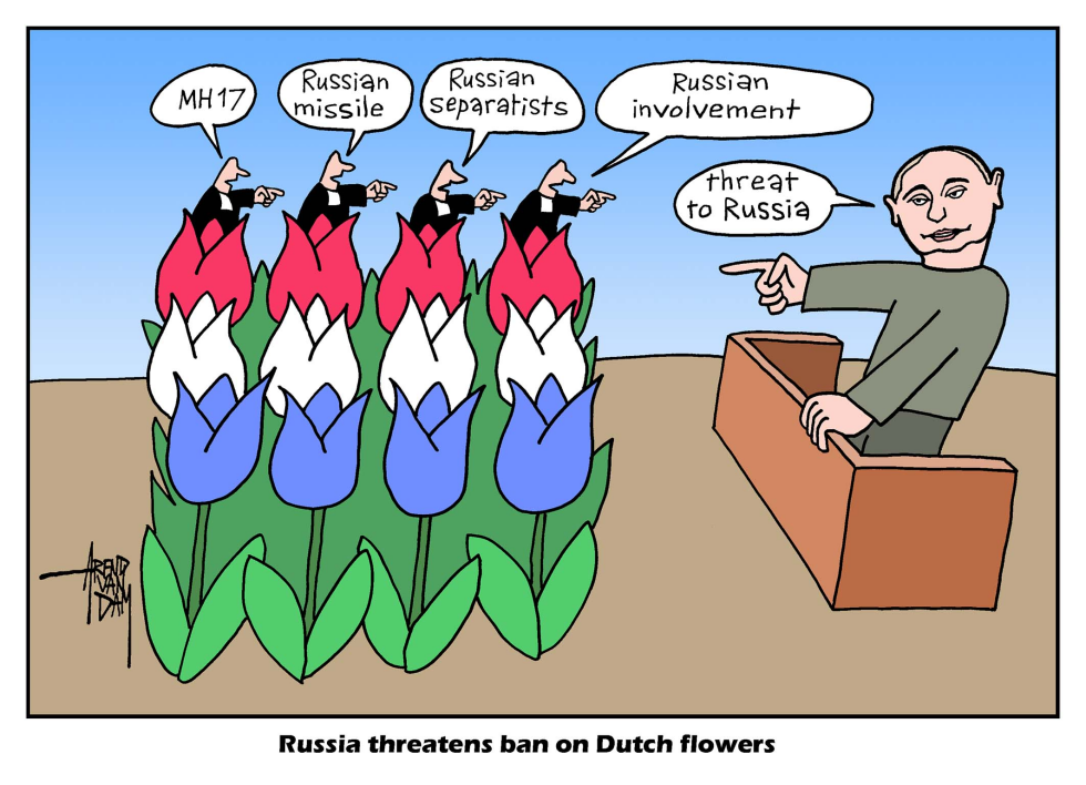 Dutch flowers