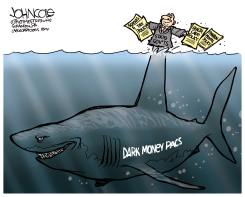 THE DARK MONEY SHARK  by John Cole