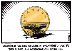 OUR POOR LOONIE by Ingrid Rice