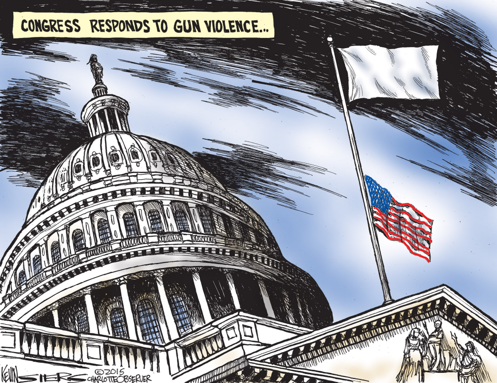 Congress Responds to Gun Violence