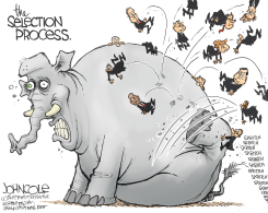 GOP SELECTION PROCESS  by John Cole