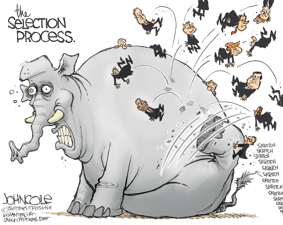 GOP selection process COLOR