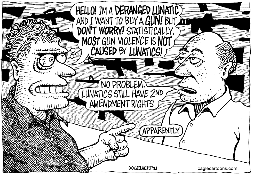 Gun Control and Mental Illness