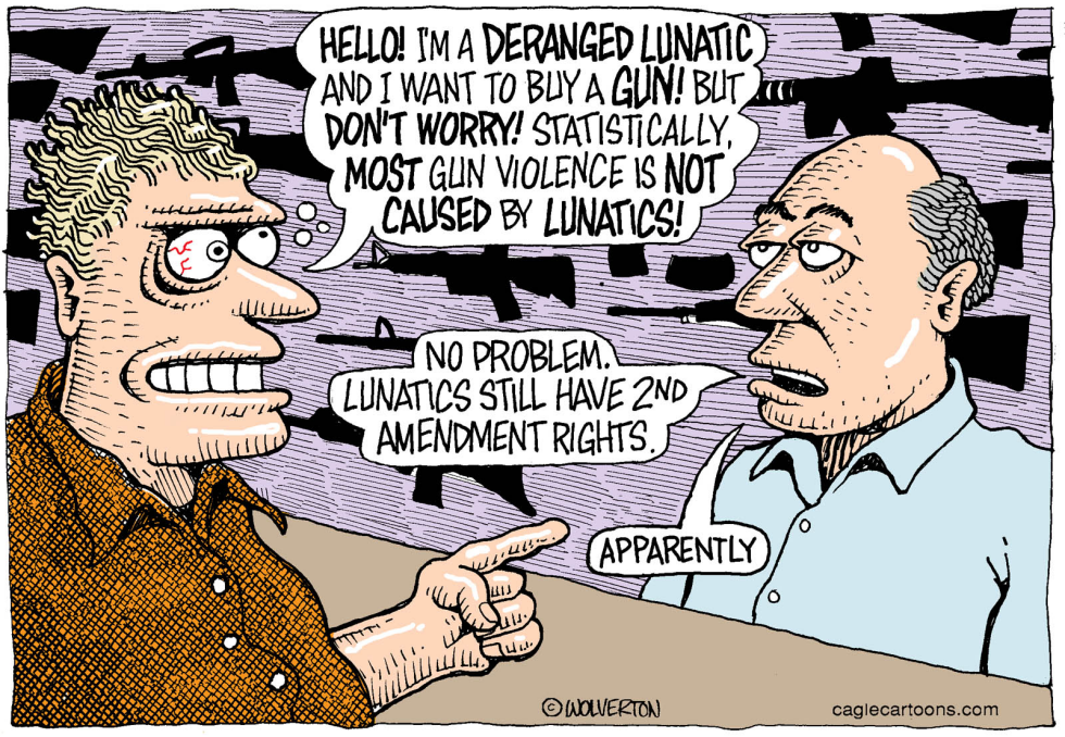  GUN CONTROL AND MENTAL ILLNESS by Wolverton