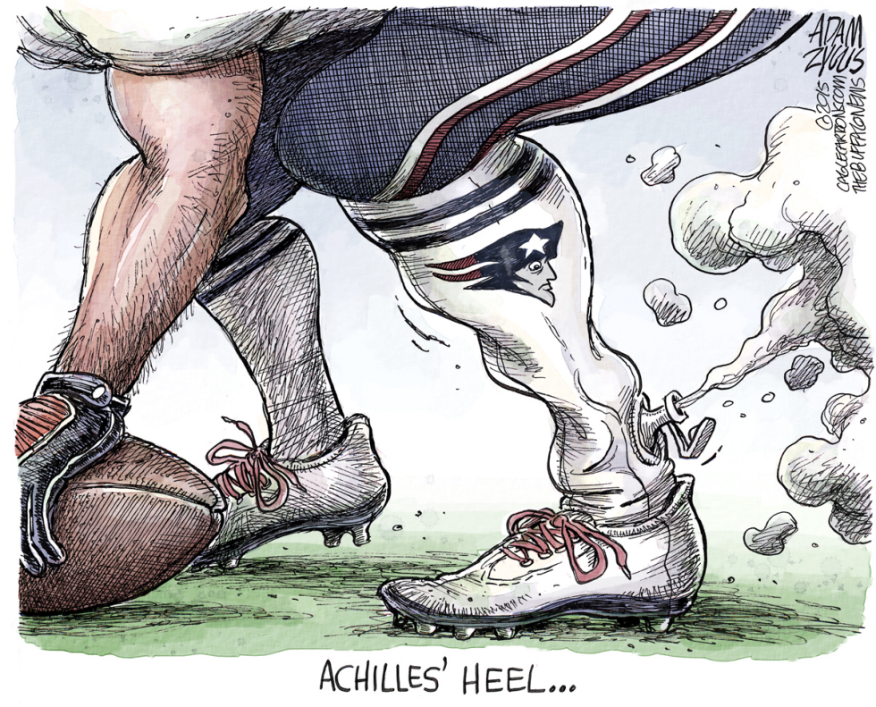 Brady Suspension COLOR