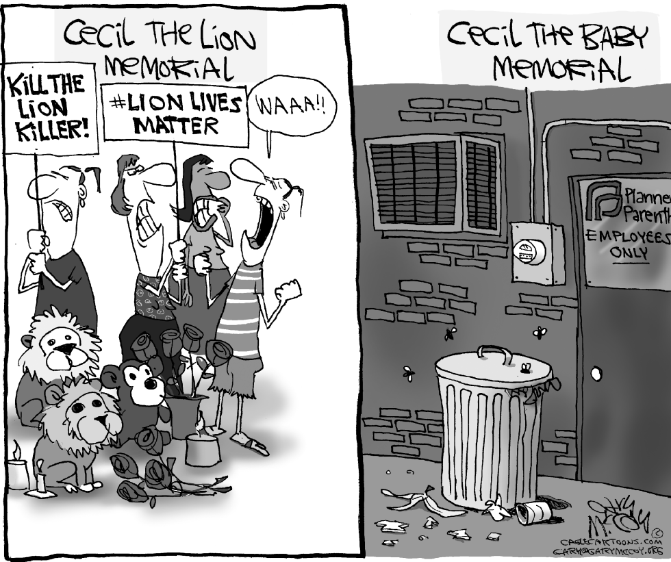 Cecil vs Baby