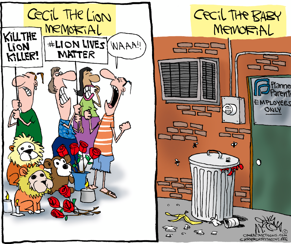 Cecil vs Baby COLOR