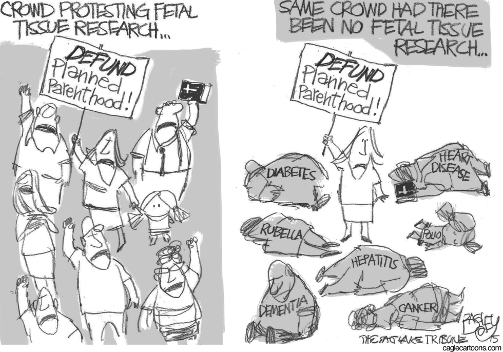 Fetal Tissue