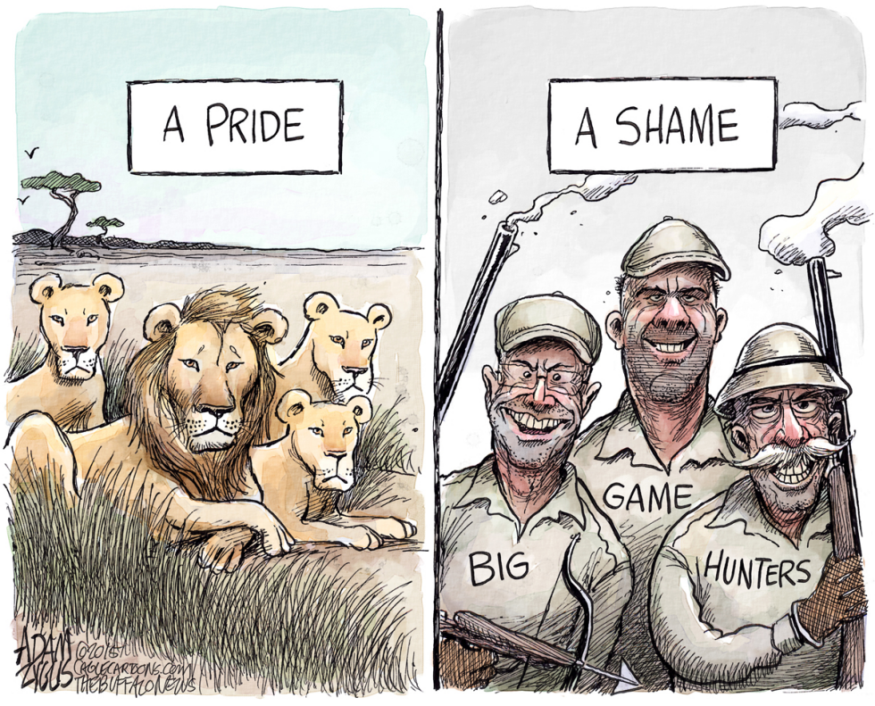 Cecil the lion COLOR