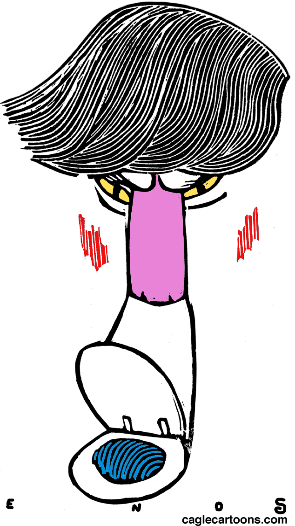 Bad Donald COLOR