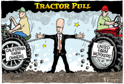 LOCAL-CA BROWN TRACTOR PULL by Monte Wolverton