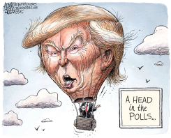 TRUMP'S RISE  by Adam Zyglis