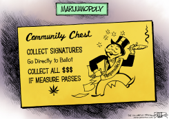 LOCAL OH - POT ON THE BALLOT  by Nate Beeler