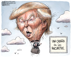 EL ASCENSO DE TRUMP /  by Adam Zyglis