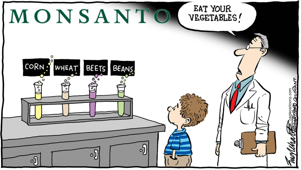 Monsanto GMOsCOLOR