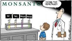 OGMS DE MONSANTO /  by Bob Englehart