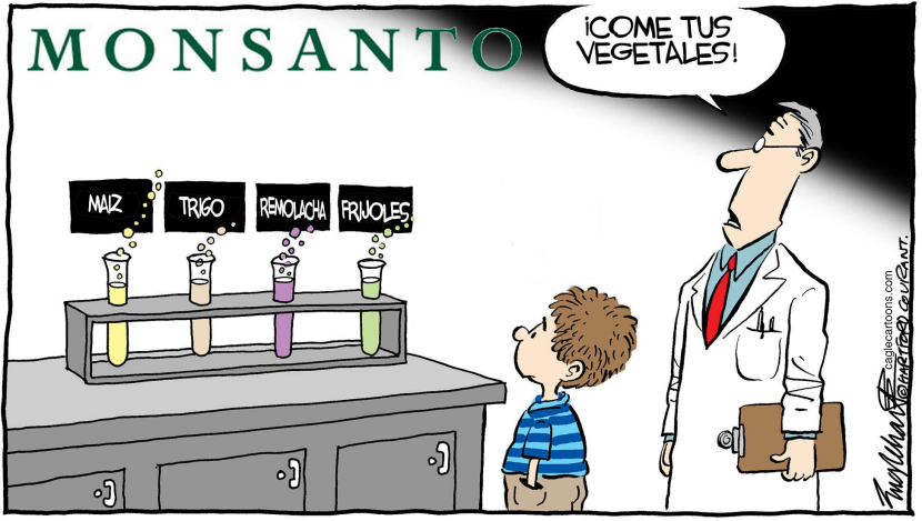 OGMs de Monsanto / COLOR