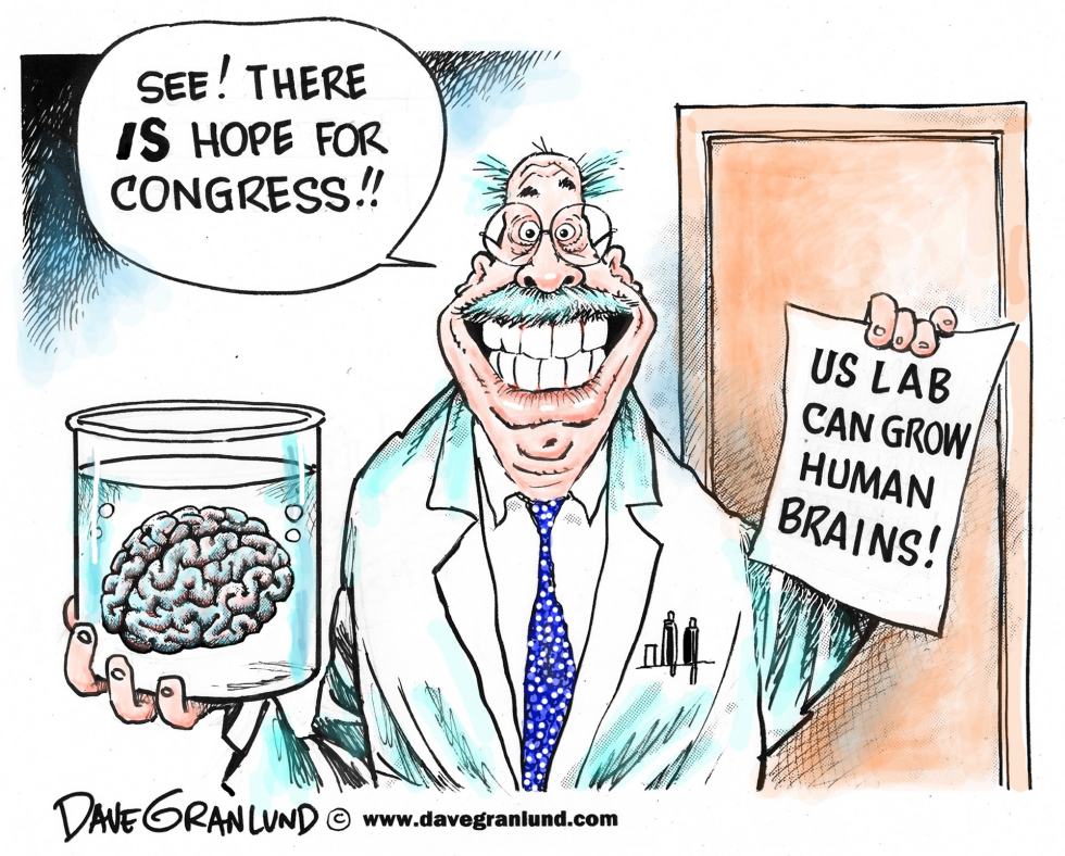 Brains grown in lab