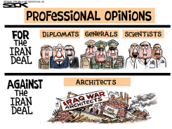 IRAN OPINIONS  by Steve Sack