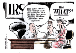 ASHLEY MADISON  by Jimmy Margulies