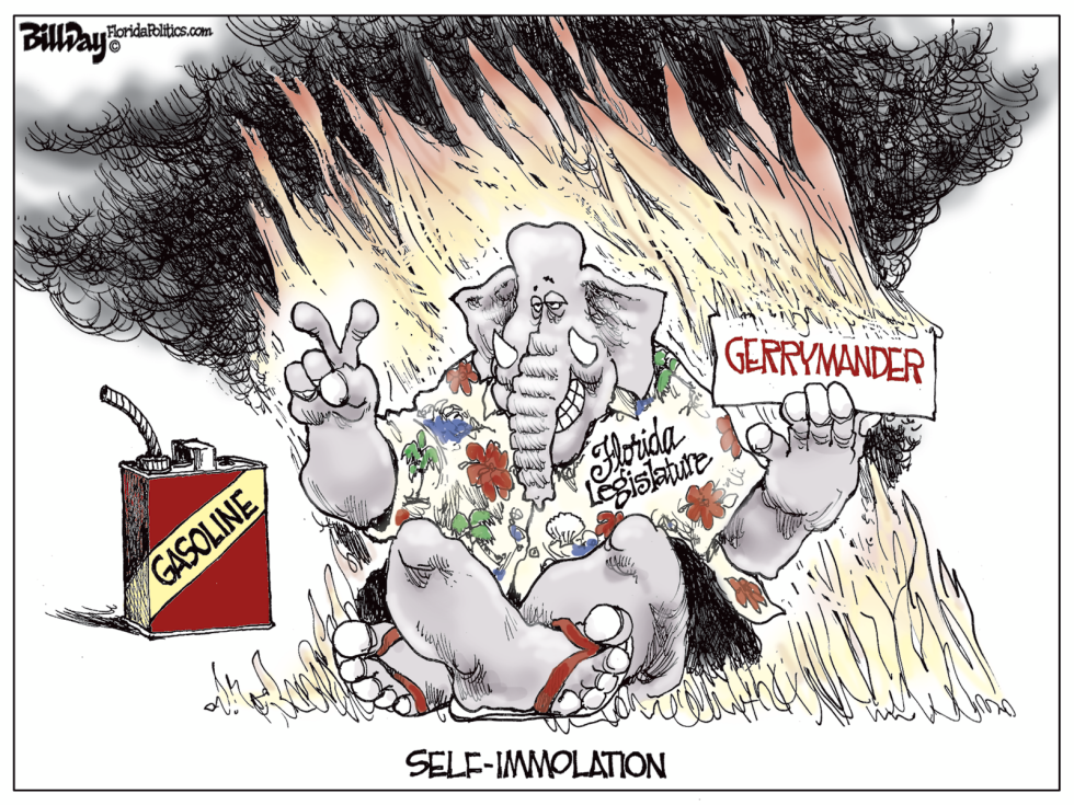  LOCAL FL IMMOLATION   by Bill Day